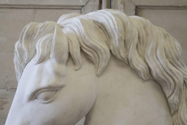 Large Carved Marble Horse Head on Wooden Base