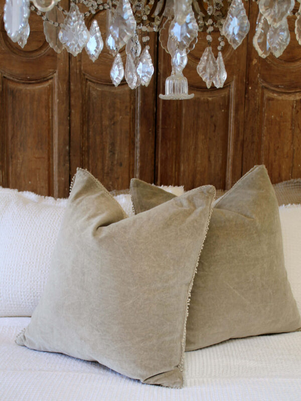 Stone Wash Velvet Pillows