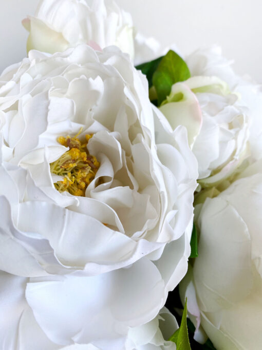 Natural Collection White Peony