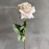 My Favorite Rose Blush