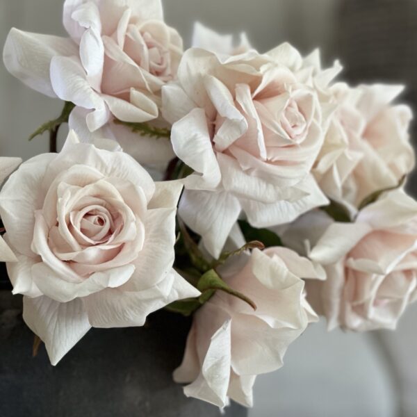 My Favorite Rose Blush