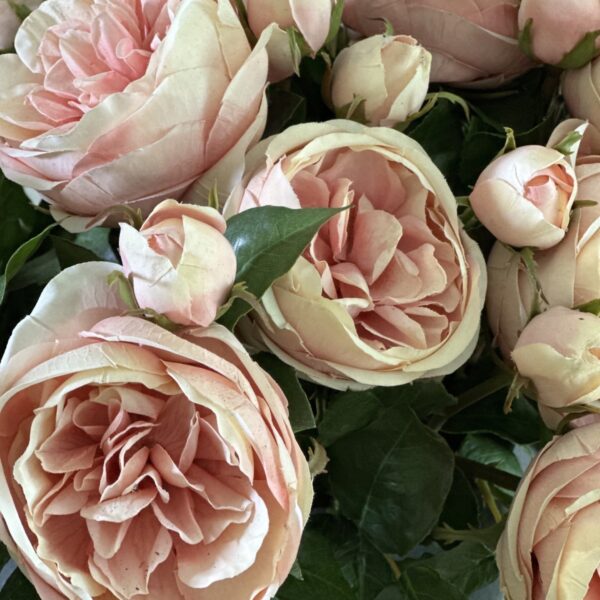 English Rose with Bud Real Touch