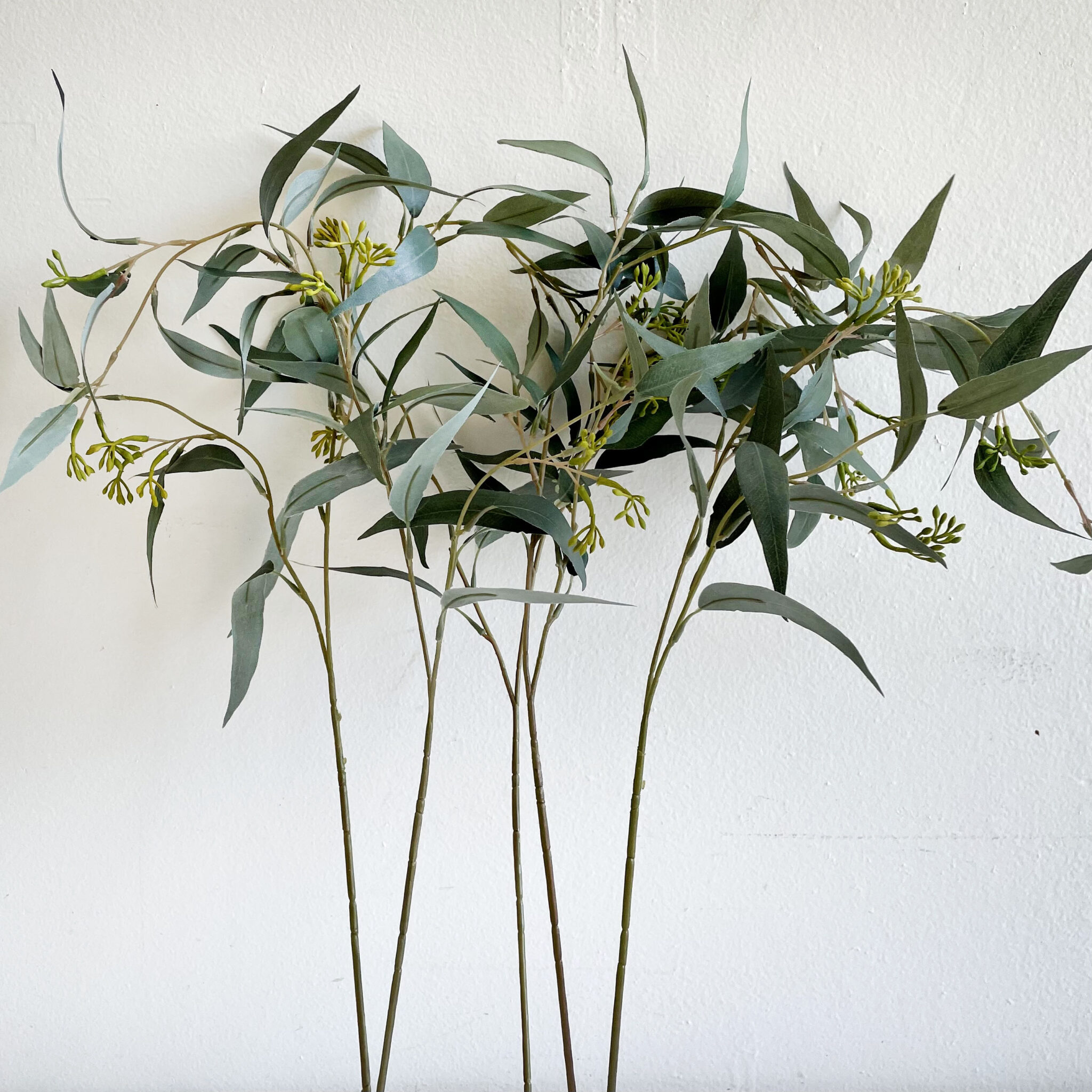 Seeded Eucalyptus Spray – Bloomhomeinc