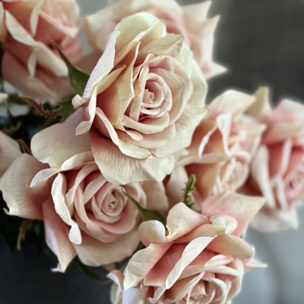 My Favorite Rose Sorbet