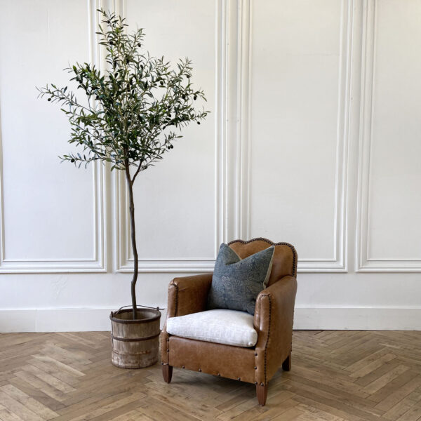 Single Trunk Olive Tree 7.5'