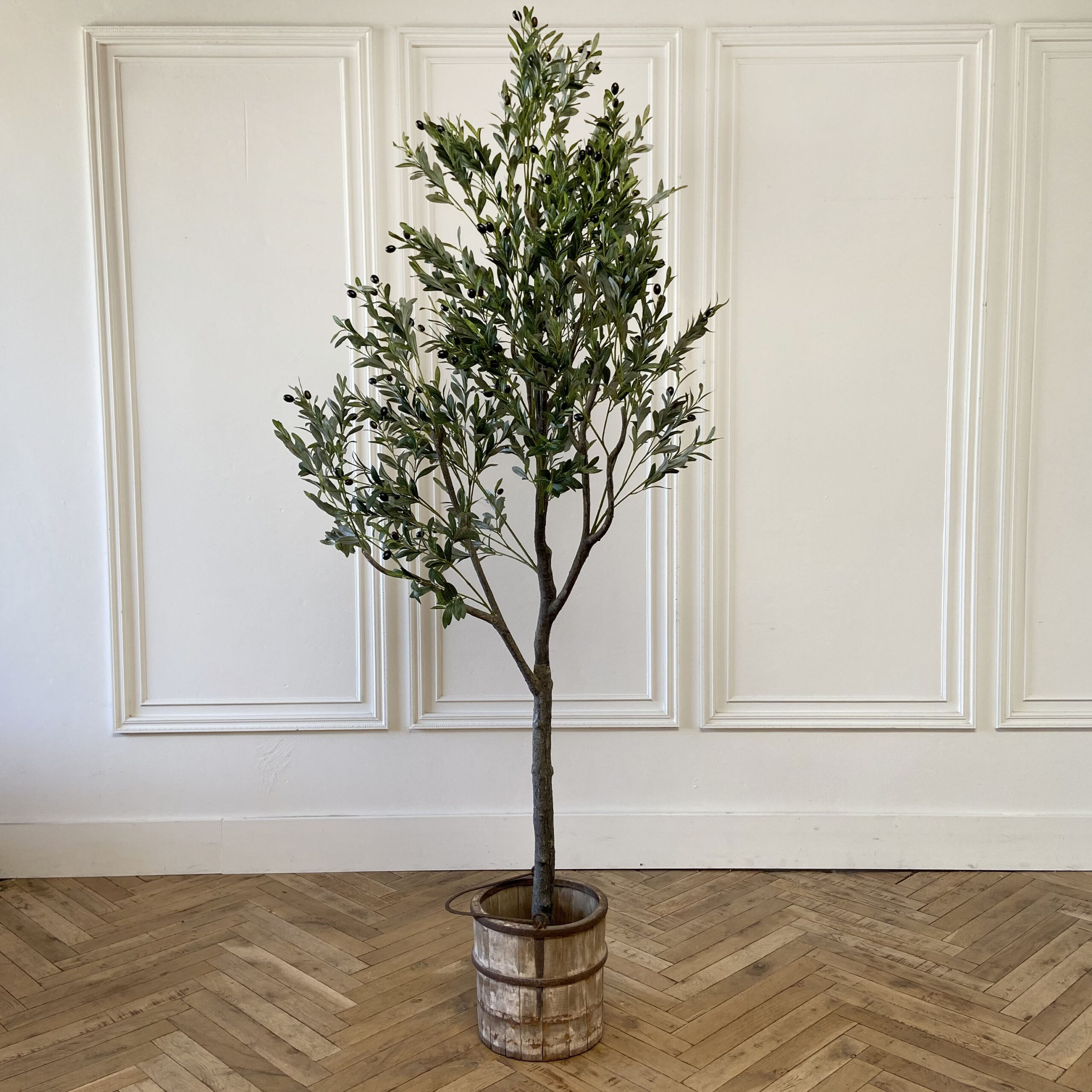 8Ft Olive Tower tree – California Silk Plants Company