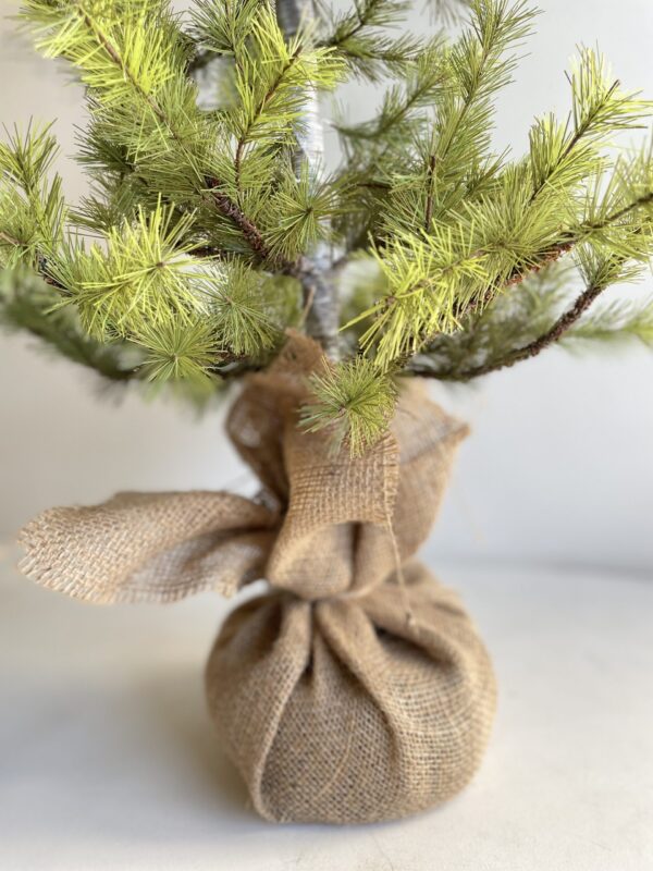 Pine Christmas Tree