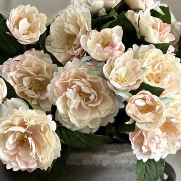 Linen Cream Roses