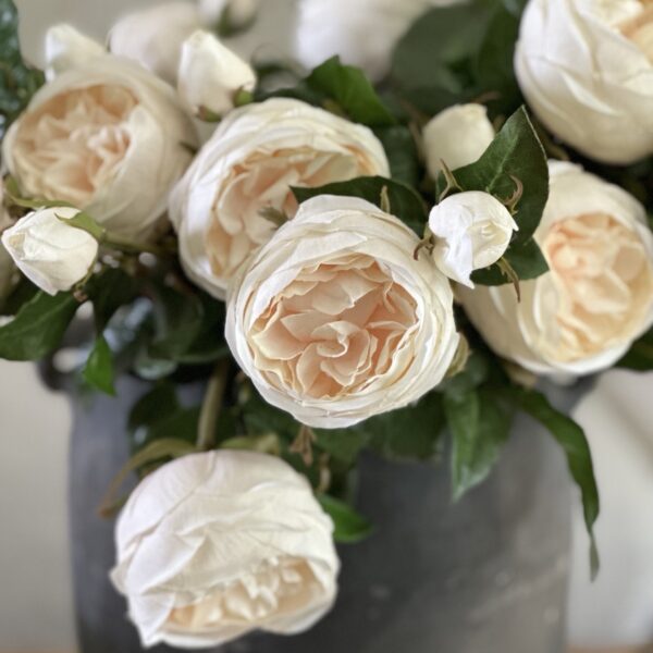 English Rose Beige