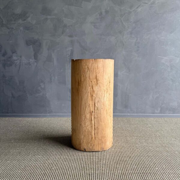 Hollowed Out Stump
