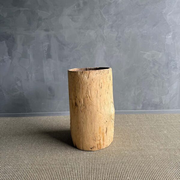 Hollowed Out Stump