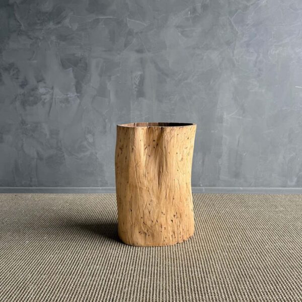 Hollowed Out Stump