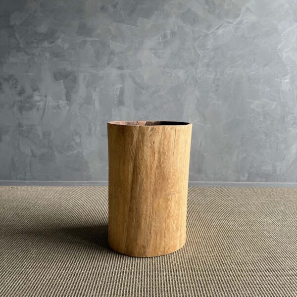 Hollowed Out Stump