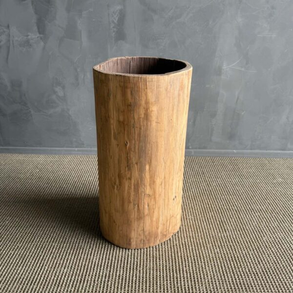 Hollowed Out Stump