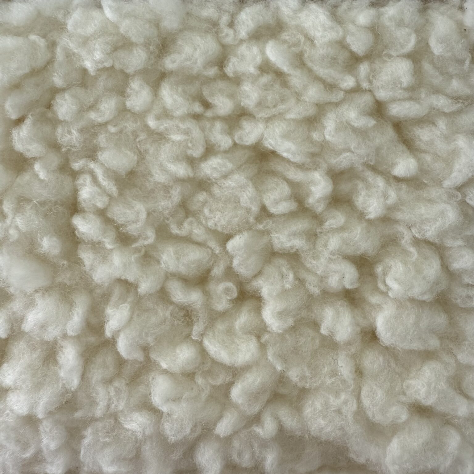 Sheep Samples Natural Sheep Sample - Bloom Home Inc