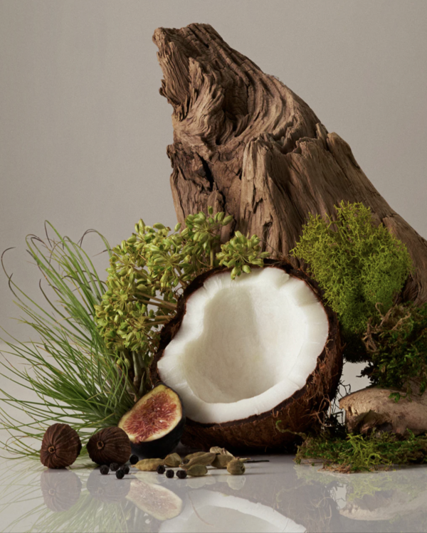 Cocomoi Candle