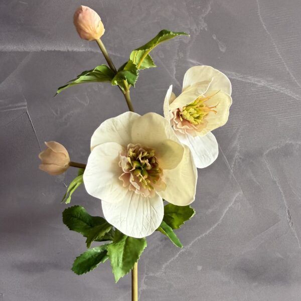 Hellebores Rose 21" - Linen