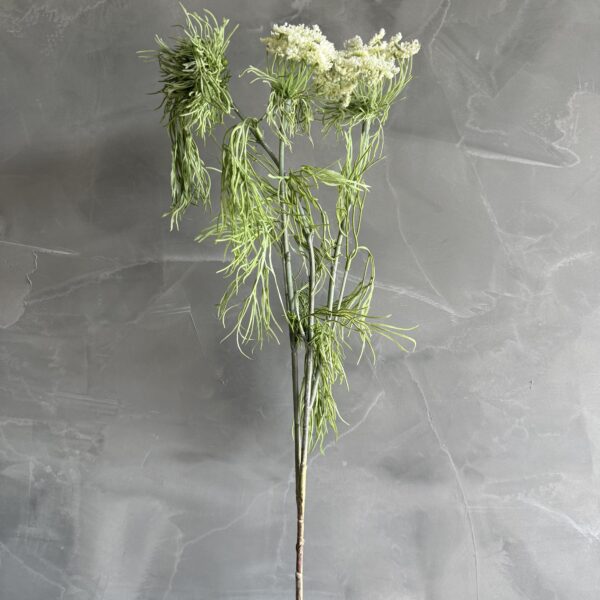 Queen Annes Lace 31"