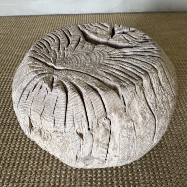 Vintage Elm Table Stump 52926-D