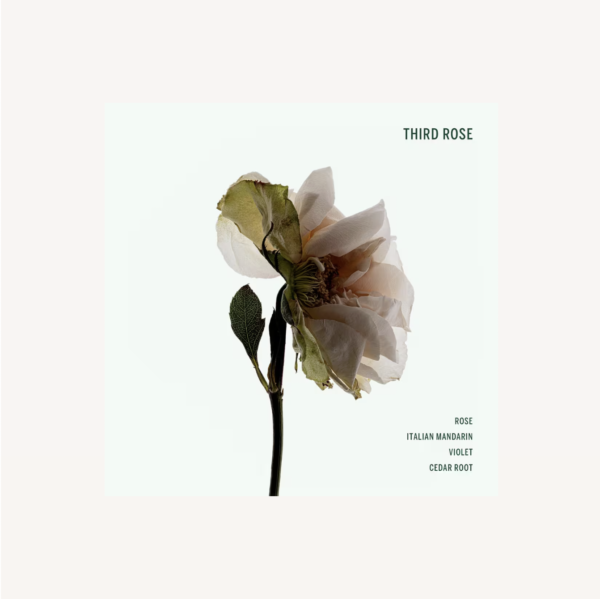 Body Wash - Corpus Third Rose