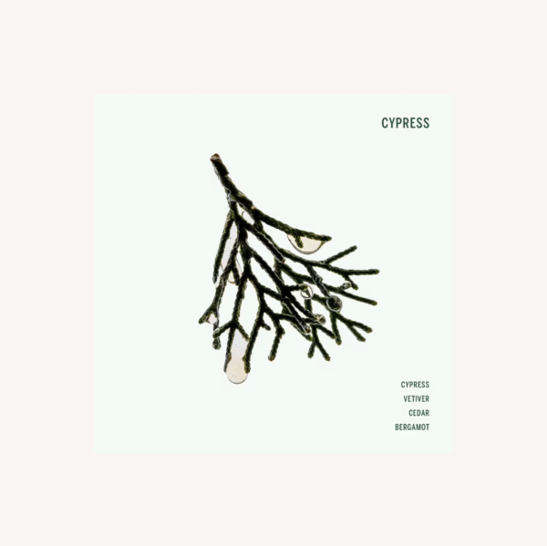 Shampoo - Corpus Cypress
